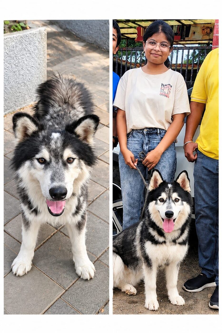 Rescued dog with its family during adoption support